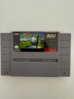 Super Nintendo Hole in One golf